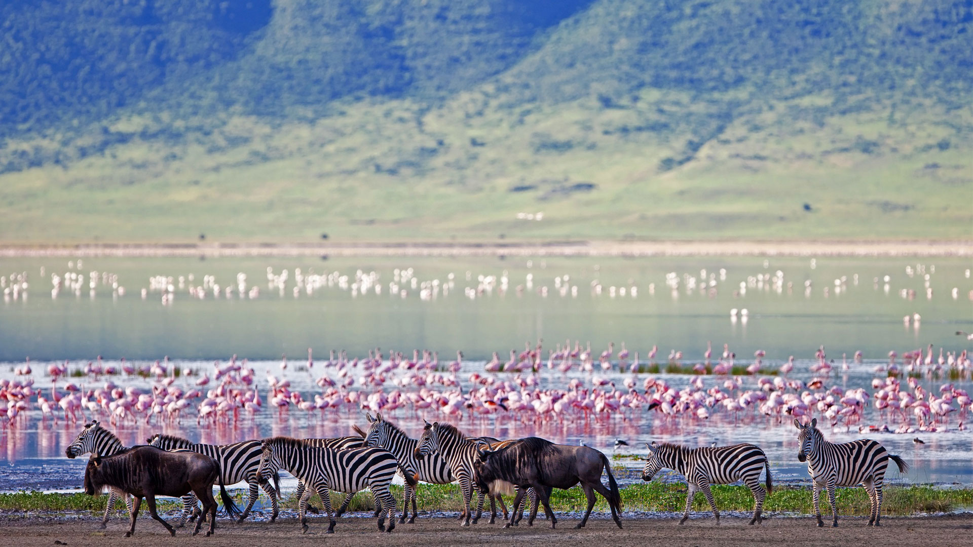 ngorongoro-crater