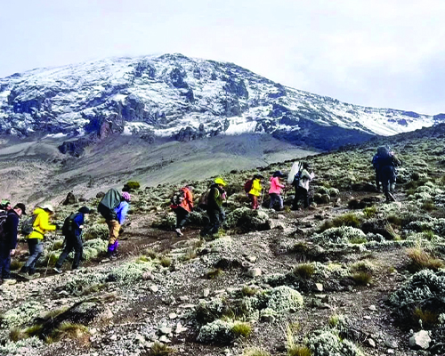 machame