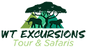 WT Site Logo_Astrip